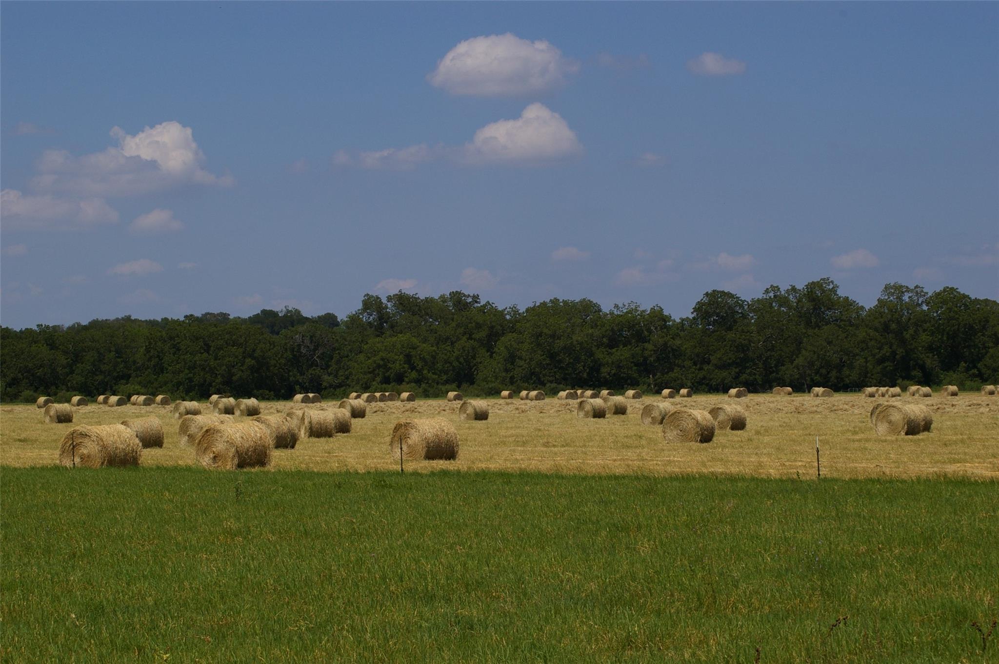 2464 County Road 249, Luling, TX 78648, Luling, TX 78648