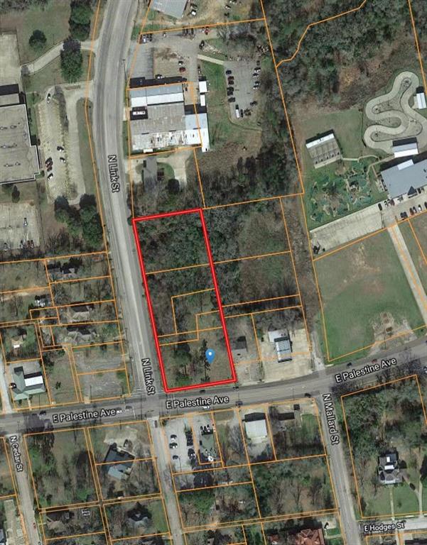 409 E Palestine Ave, Palestine, TX 75801