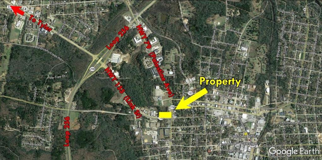 409 E Palestine Ave, Palestine, TX 75801