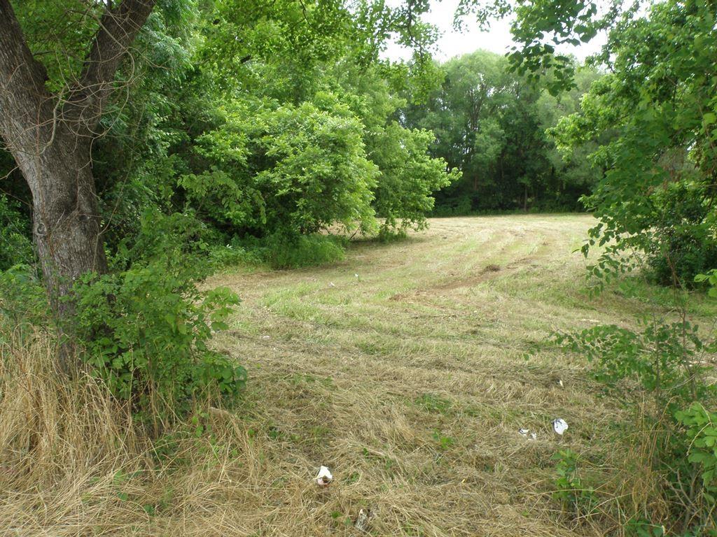 409 E Palestine Ave, Palestine, TX 75801