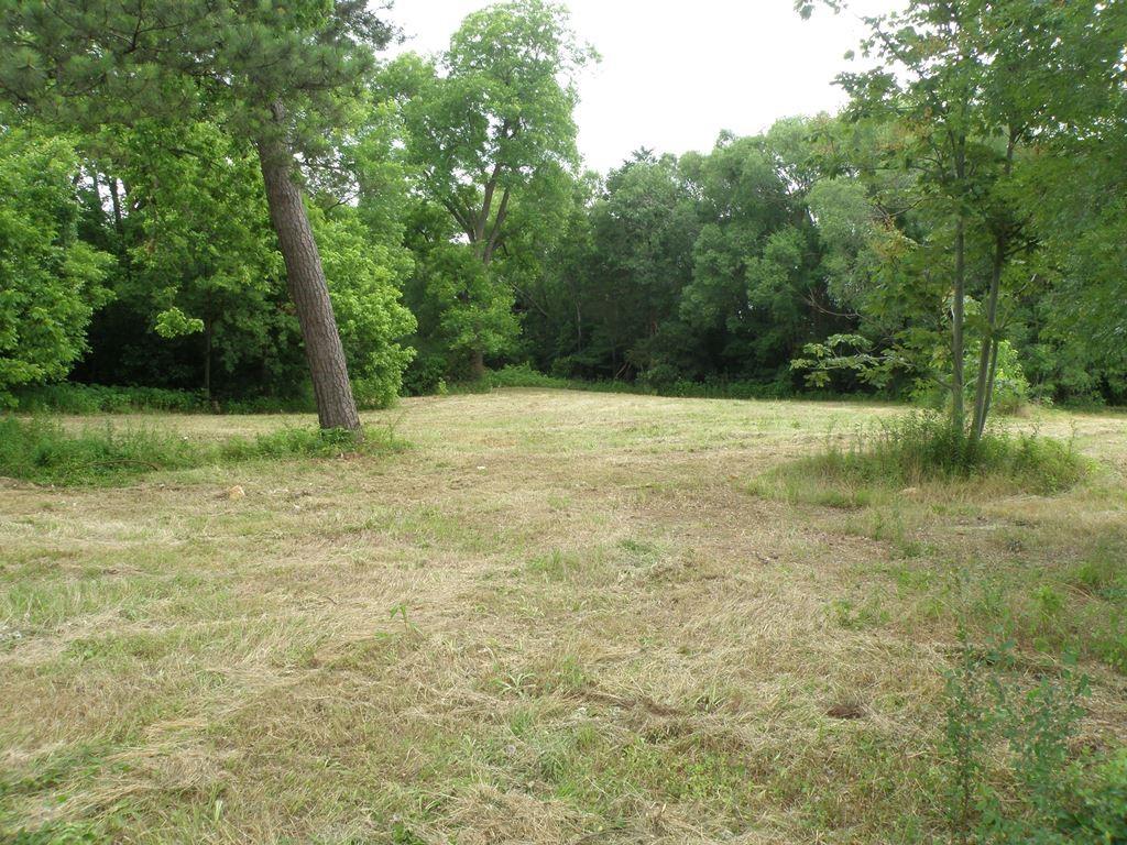 409 E Palestine Ave, Palestine, TX 75801