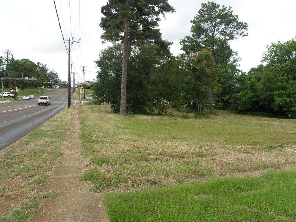 409 E Palestine Ave, Palestine, TX 75801