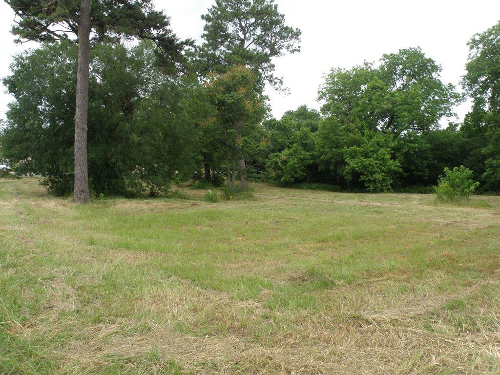 409 E Palestine Ave, Palestine, TX 75801