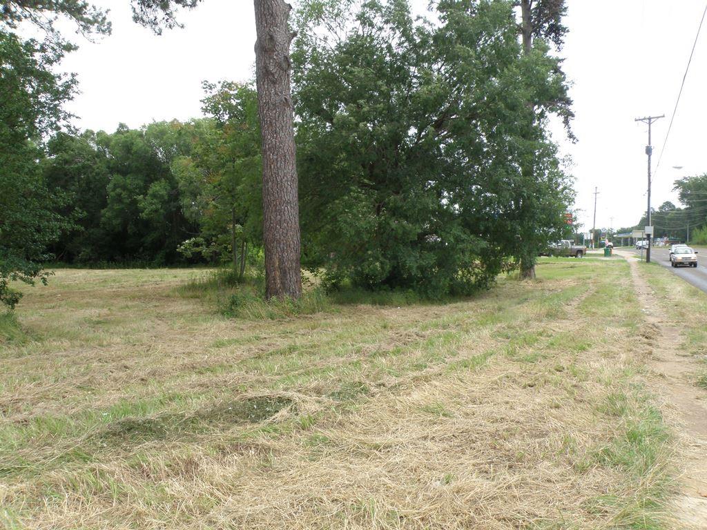 409 E Palestine Ave, Palestine, TX 75801