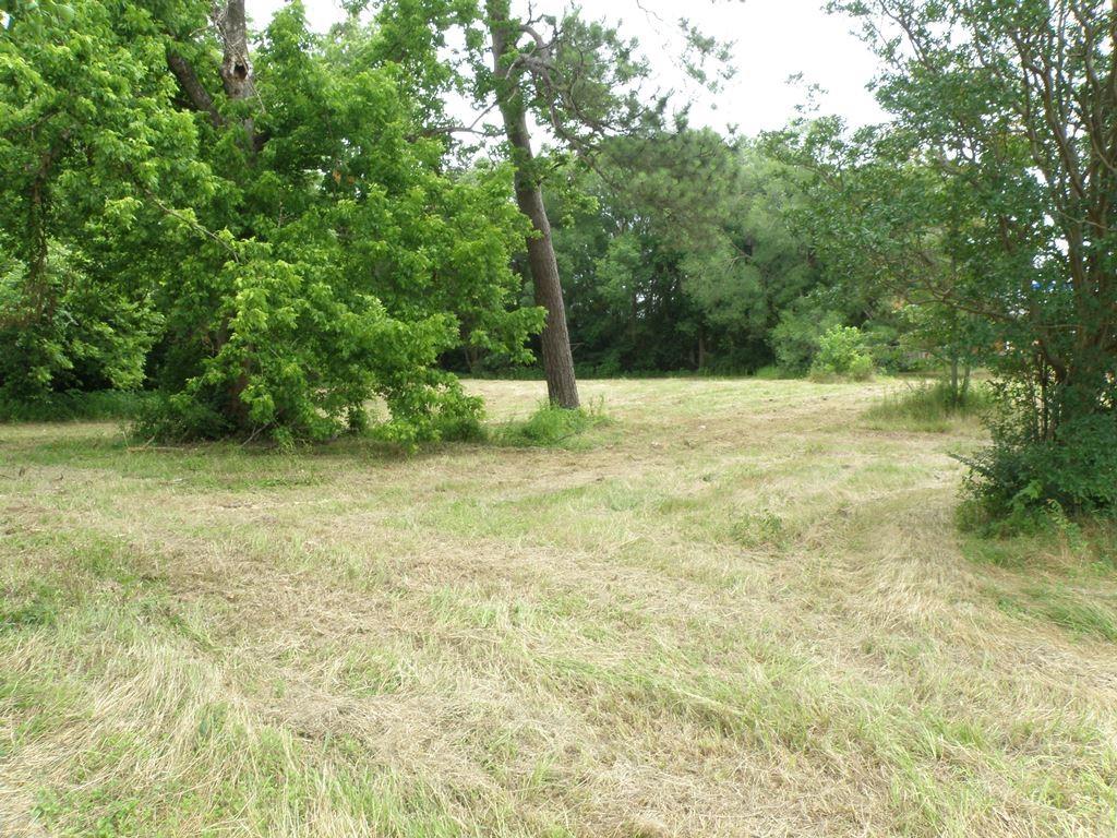 409 E Palestine Ave, Palestine, TX 75801