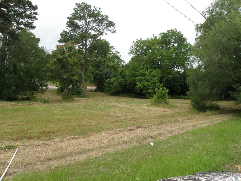 409 E Palestine Ave, Palestine, TX 75801