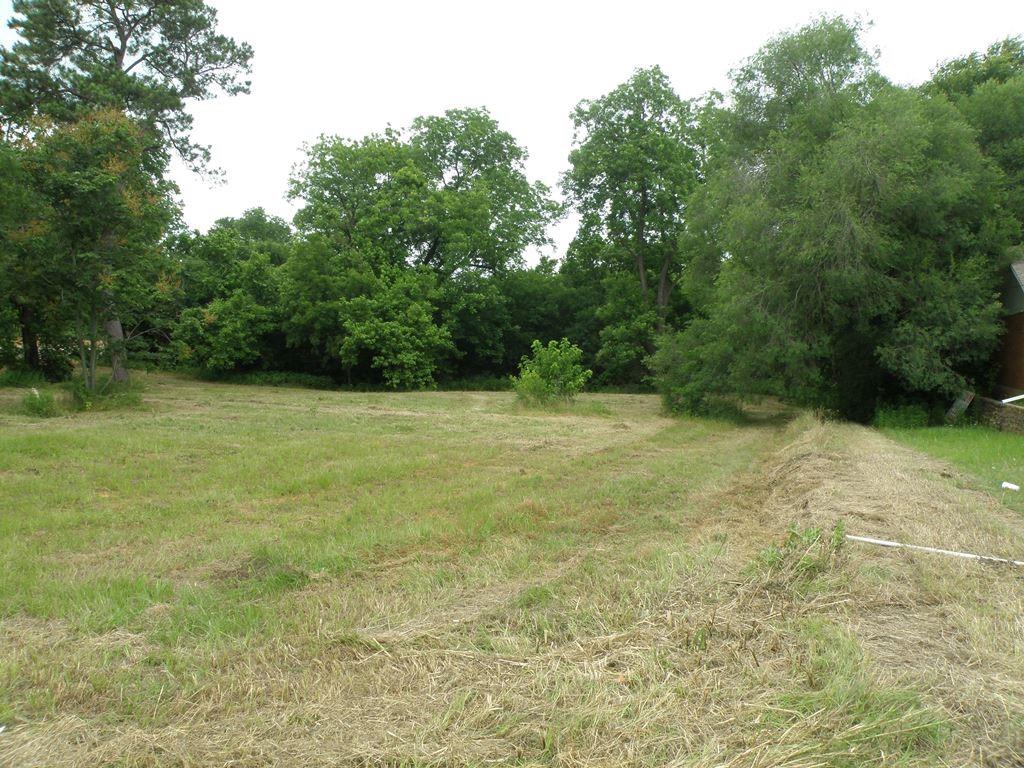 409 E Palestine Ave, Palestine, TX 75801