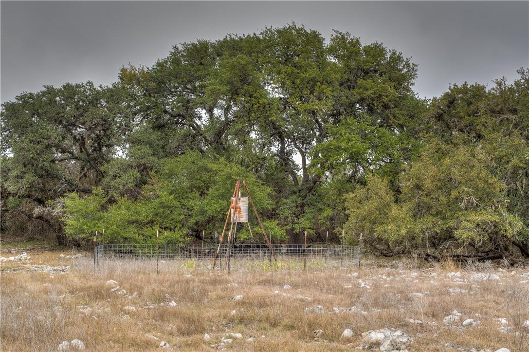 000 Leona Ranch Road, Brackettville, TX 78832