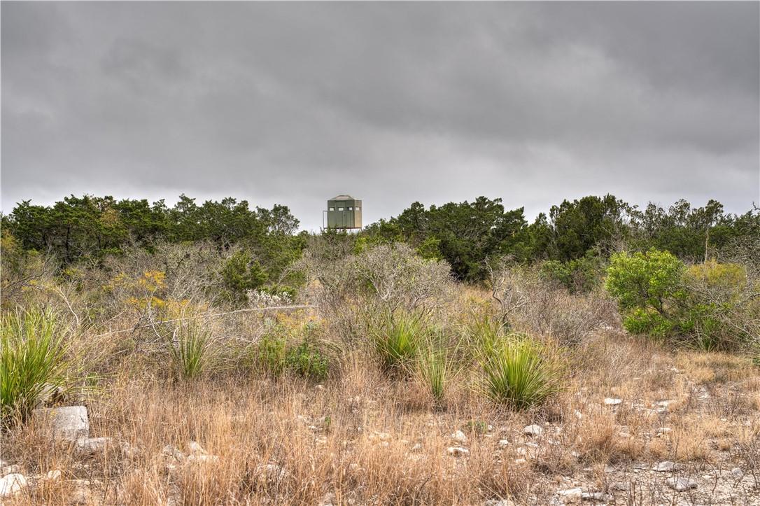 000 Leona Ranch Road, Brackettville, TX 78832