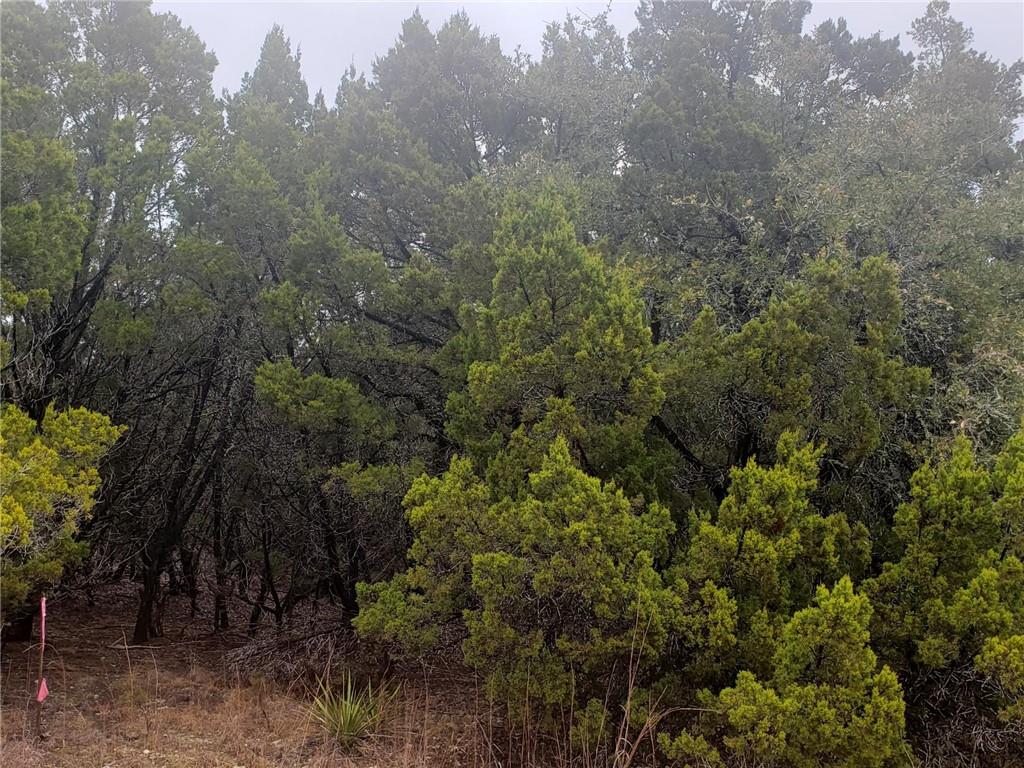 20204 Lansing Cv, Lago Vista, TX 78645