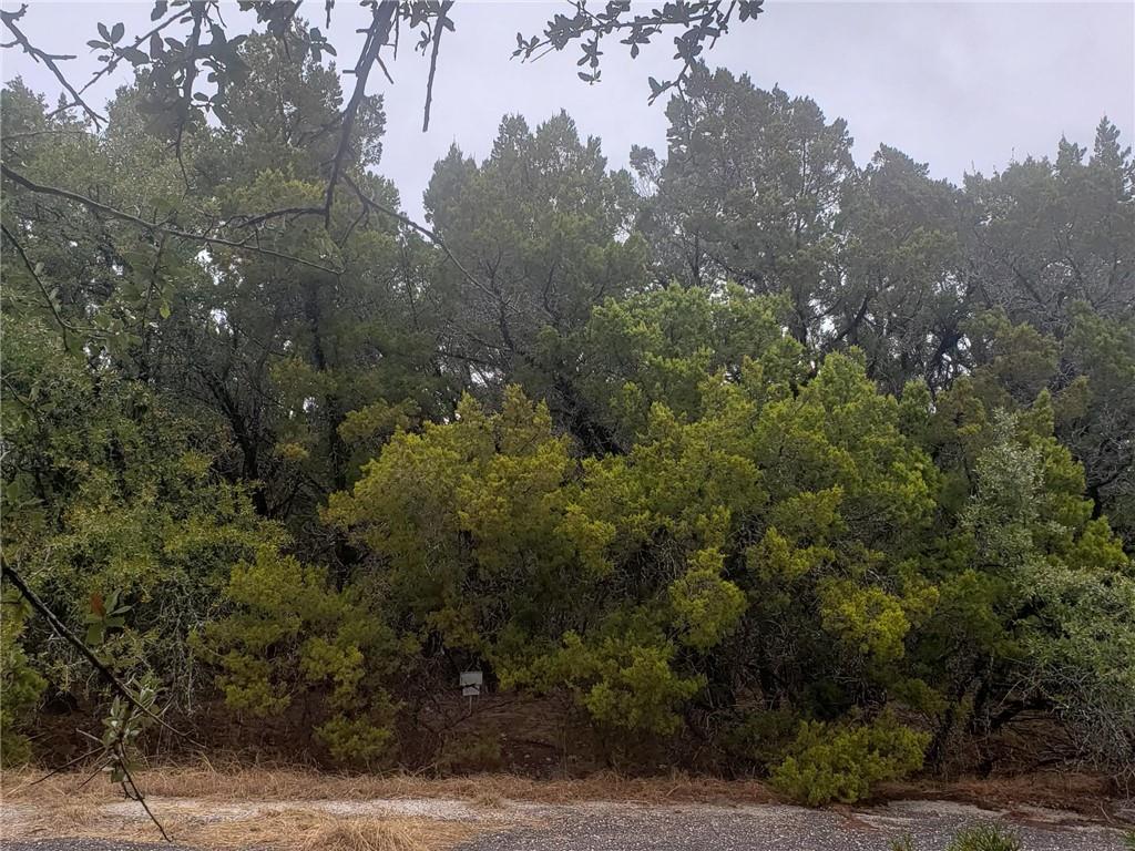 20204 Lansing Cv, Lago Vista, TX 78645