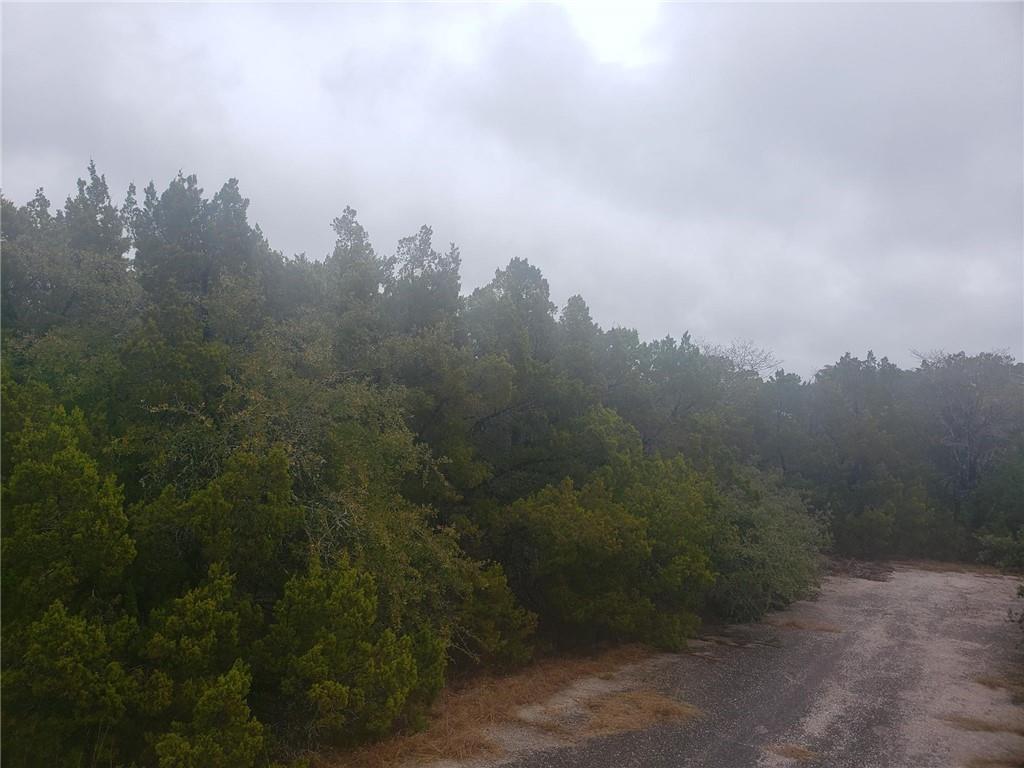 20204 Lansing Cv, Lago Vista, TX 78645