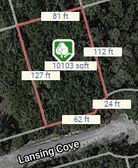 20204 Lansing Cv, Lago Vista, TX 78645