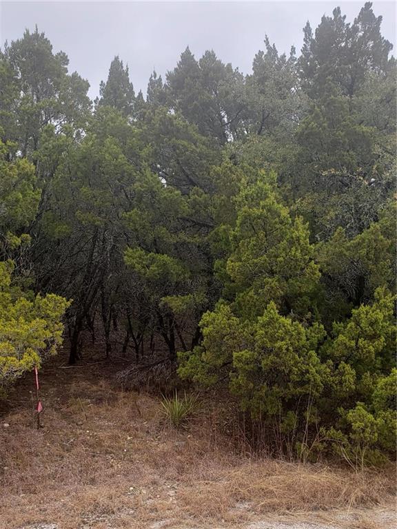 20204 Lansing Cv, Lago Vista, TX 78645