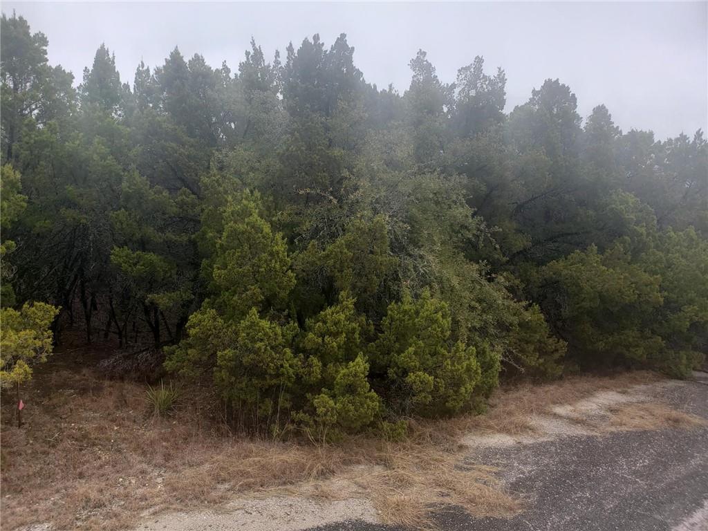 20204 Lansing Cv, Lago Vista, TX 78645