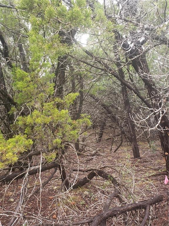 20204 Lansing Cv, Lago Vista, TX 78645