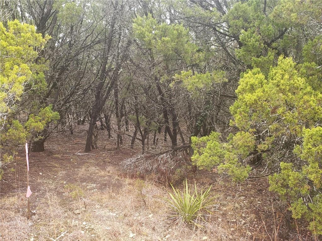 20204 Lansing Cv, Lago Vista, TX 78645