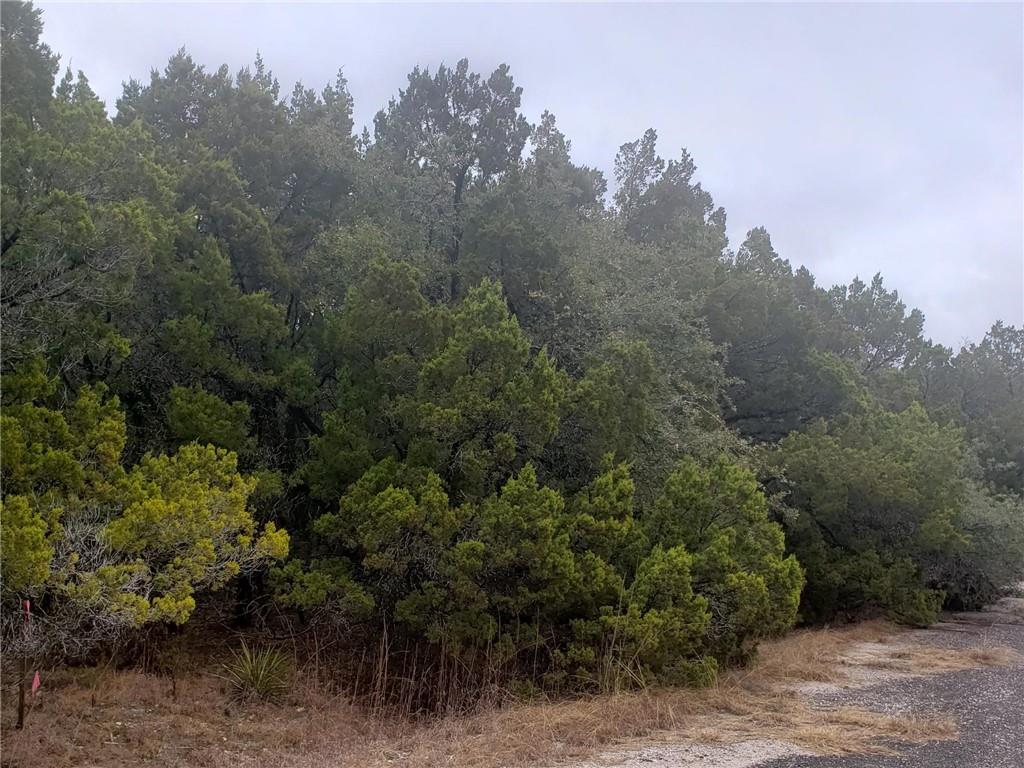 20204 Lansing Cv, Lago Vista, TX 78645