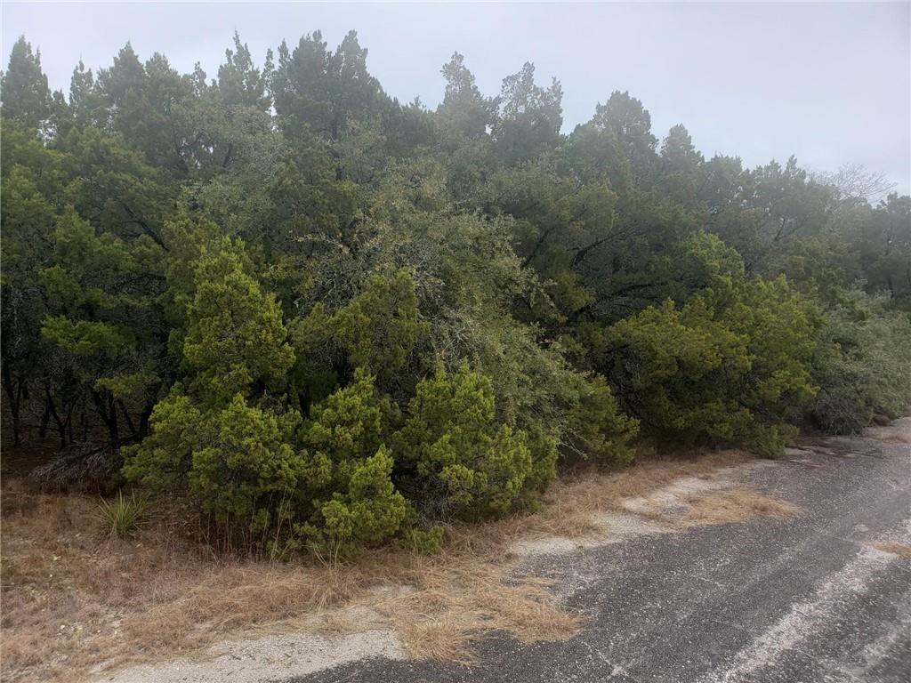 20204 Lansing Cv, Lago Vista, TX 78645