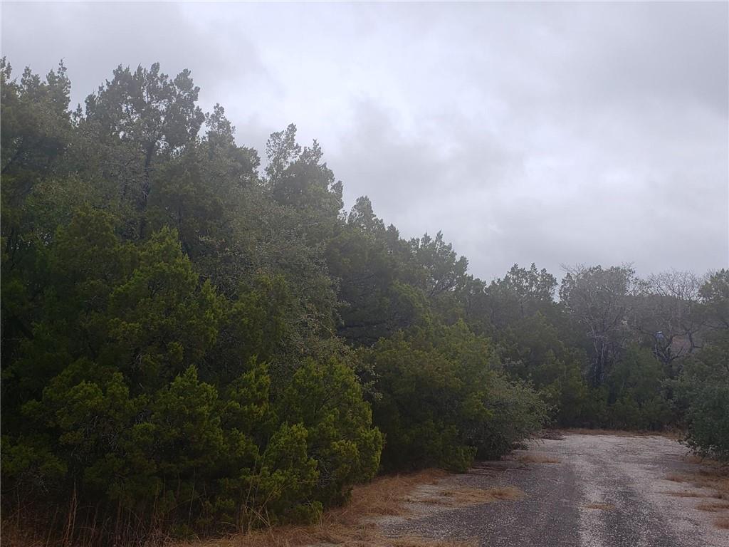 20204 Lansing Cv, Lago Vista, TX 78645