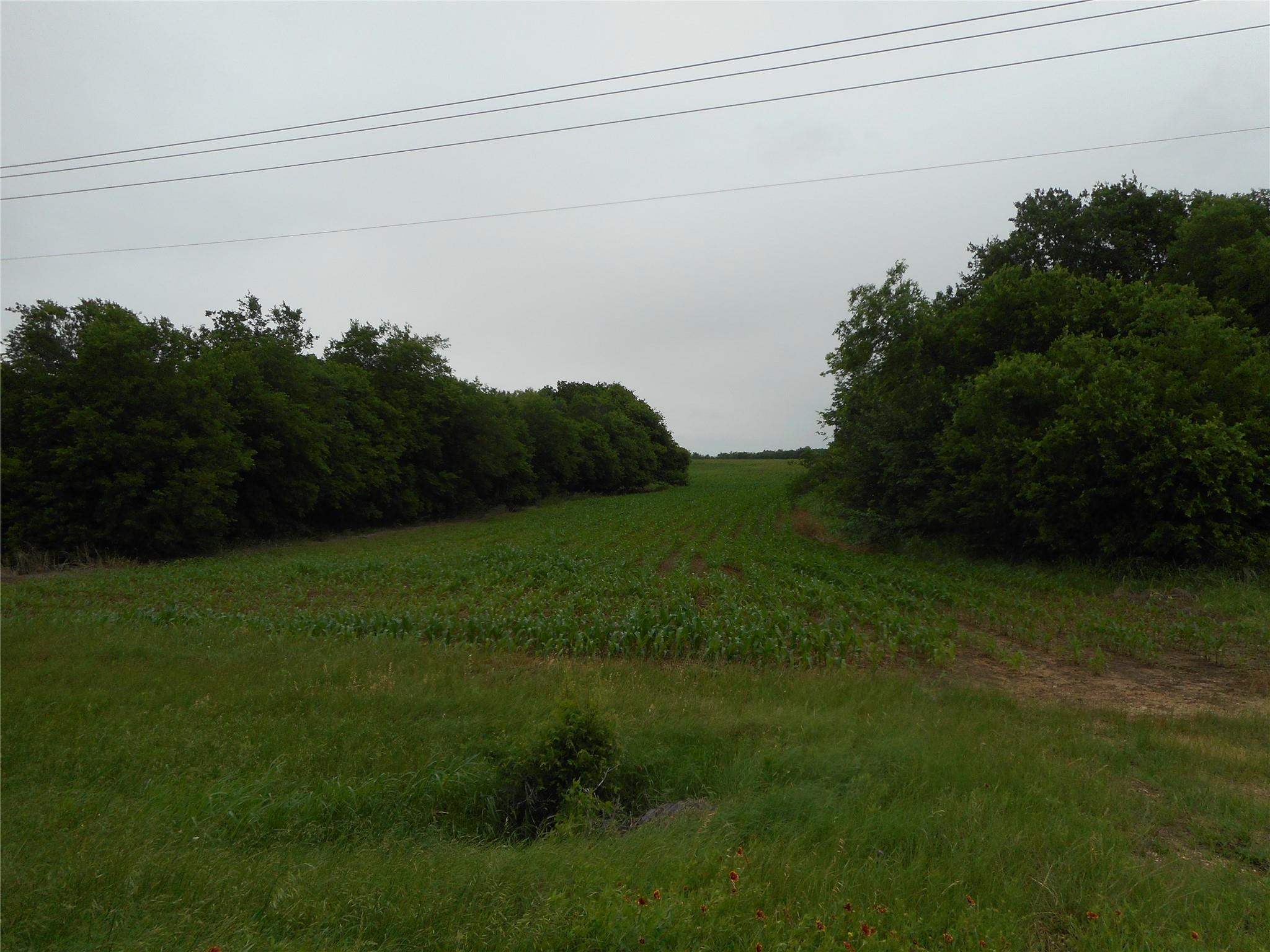TBD N Fm 619 Rd, Taylor, TX 76574
