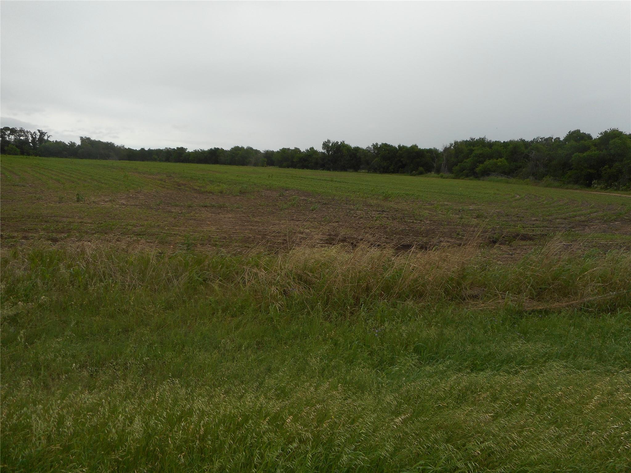 TBD N Fm 619 Rd, Taylor, TX 76574