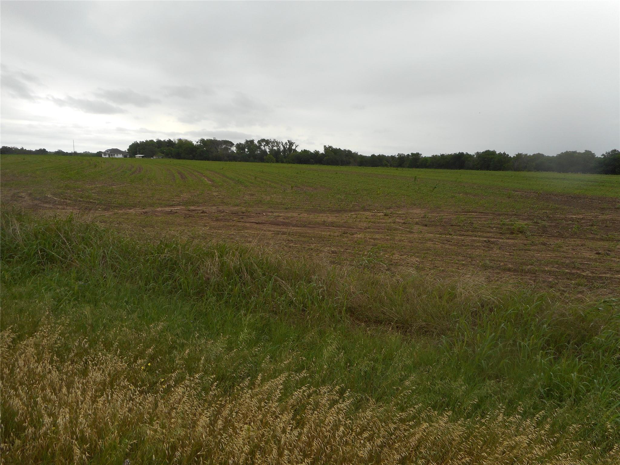 TBD N Fm 619 Rd, Taylor, TX 76574