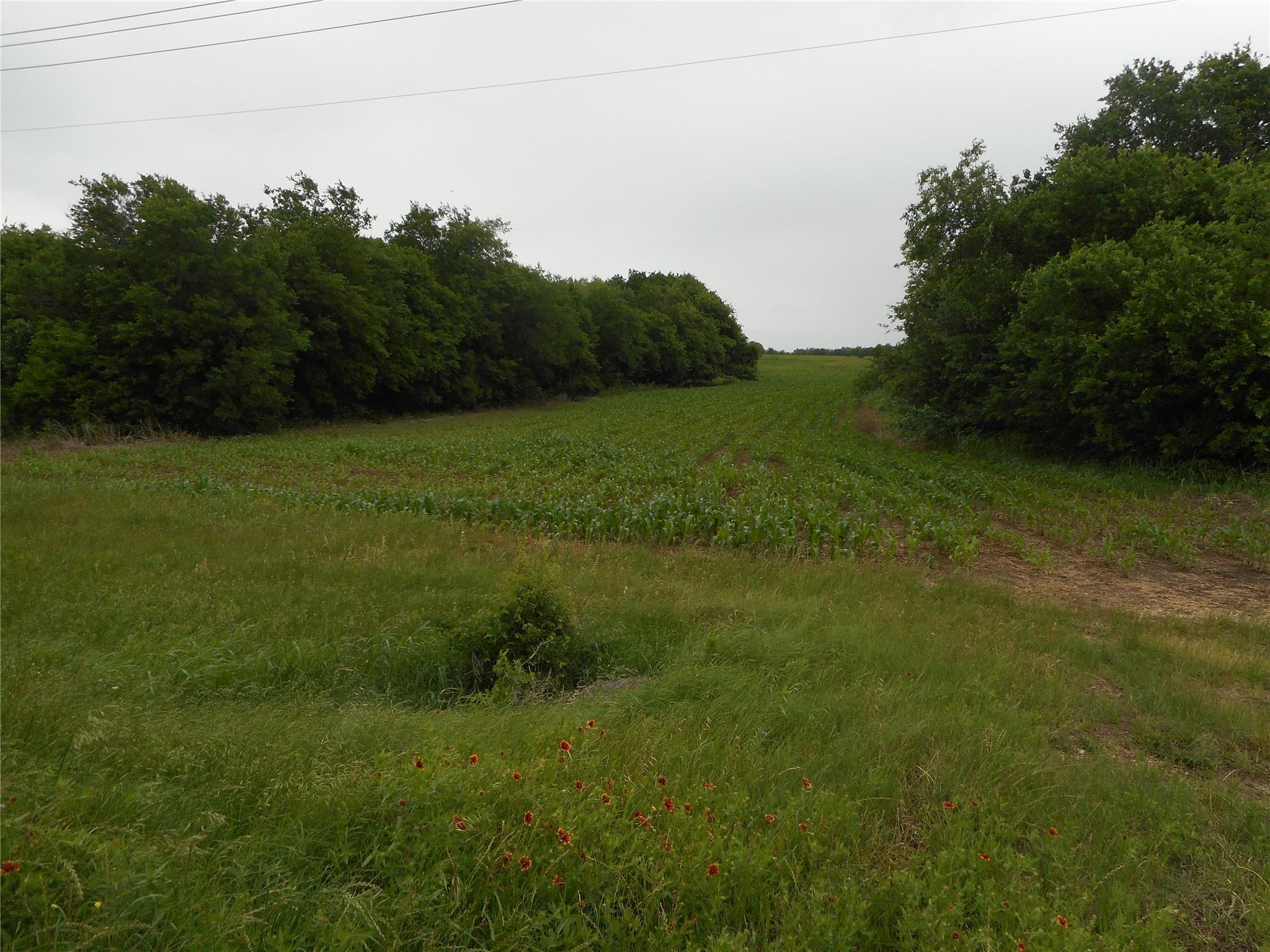 TBD N Fm 619 Rd, Taylor, TX 76574