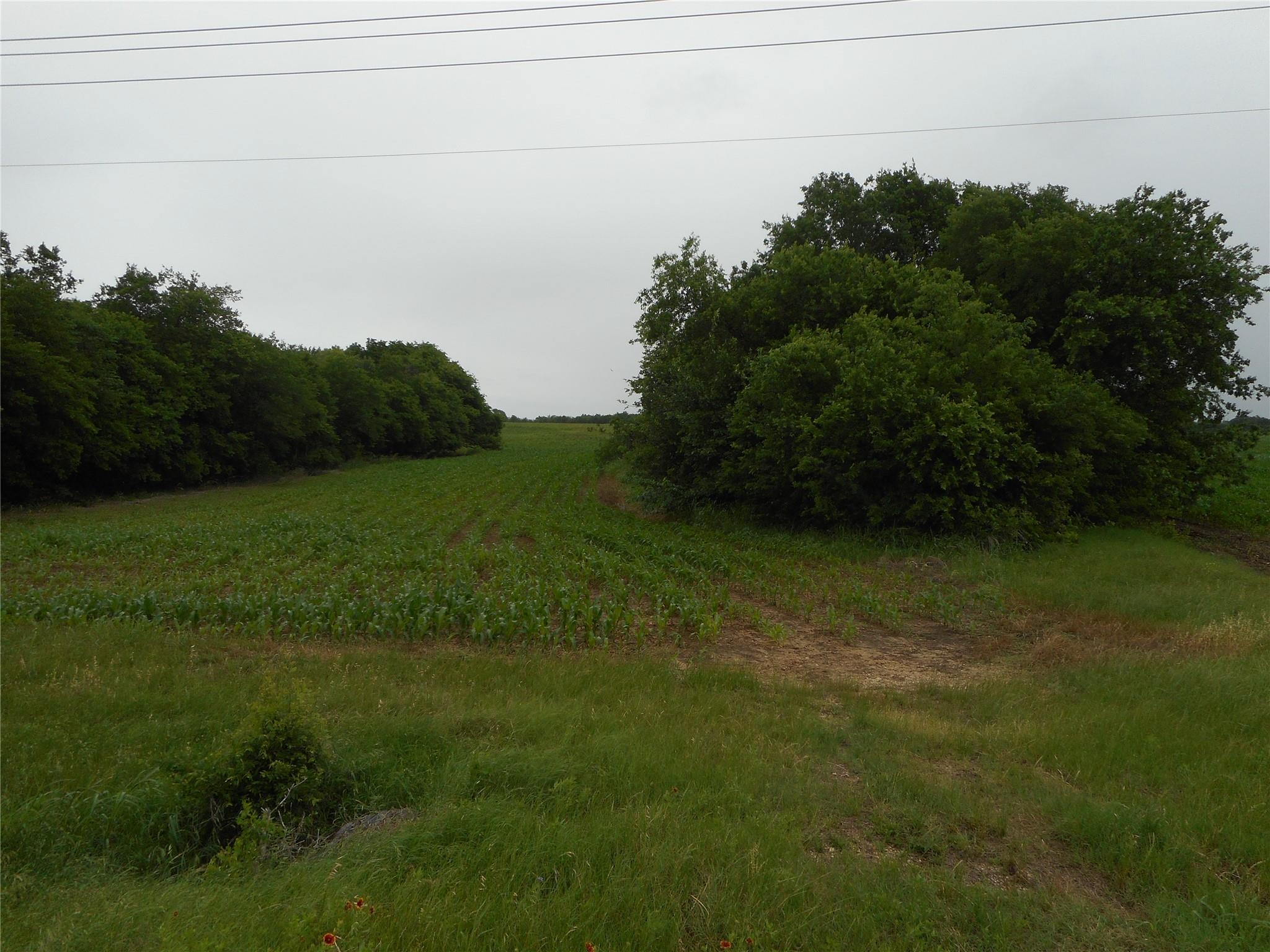 TBD N Fm 619 Rd, Taylor, TX 76574