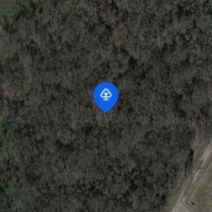 13604 Fm 969 Rd, Austin, TX 78724