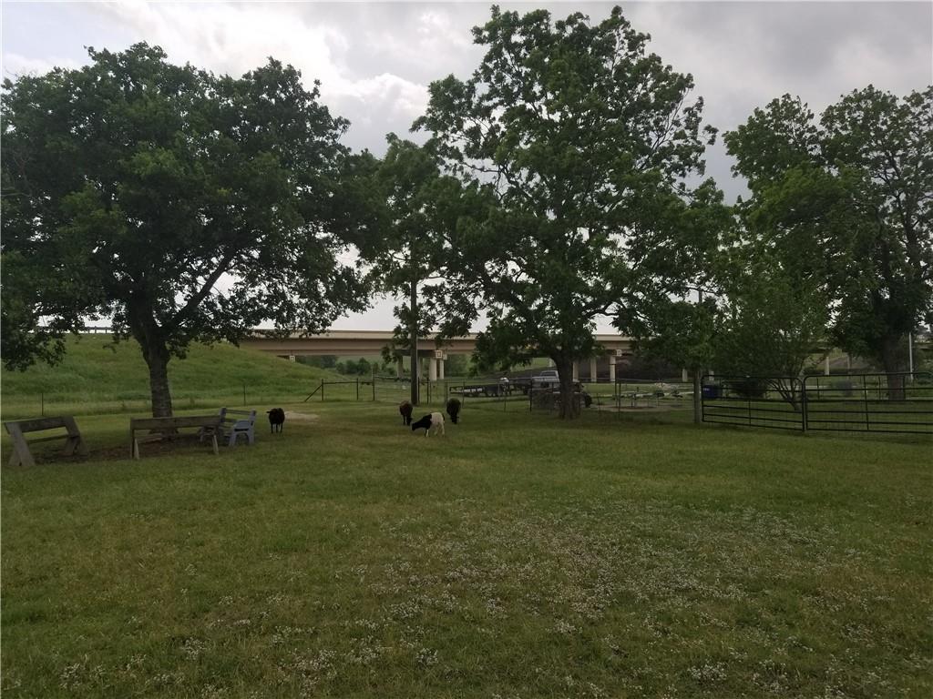 1355 County Road 105 Rd, Hutto, TX 78634