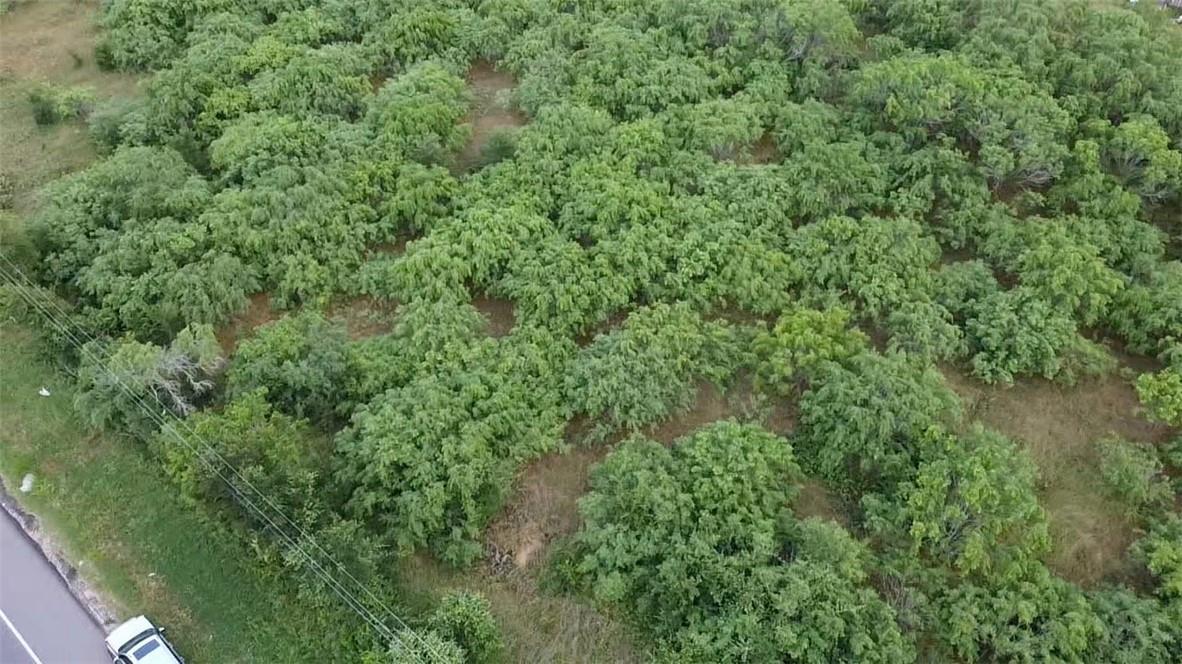 Lot 1 State Highway 21 W, Cedar Creek, TX 78612