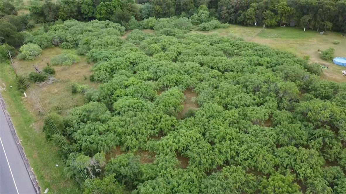 Lot 1 State Highway 21 W, Cedar Creek, TX 78612