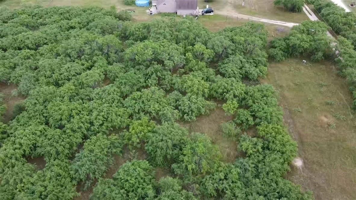 Lot 1 State Highway 21 W, Cedar Creek, TX 78612