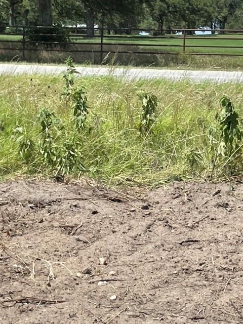 1583 S Us Highway 77 Highway, Giddings, TX 78942