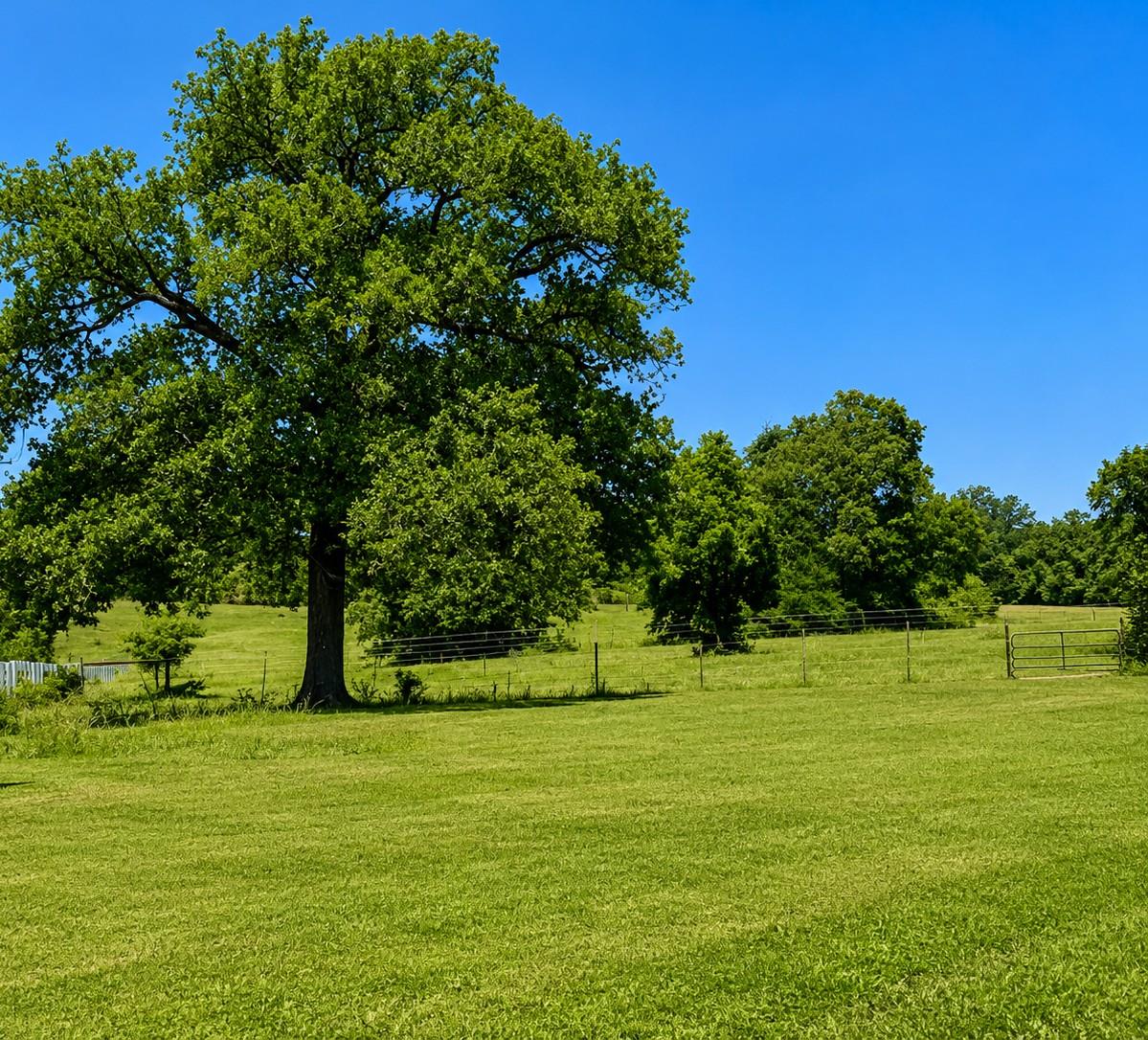 1583 S Us Highway 77 Highway, Giddings, TX 78942