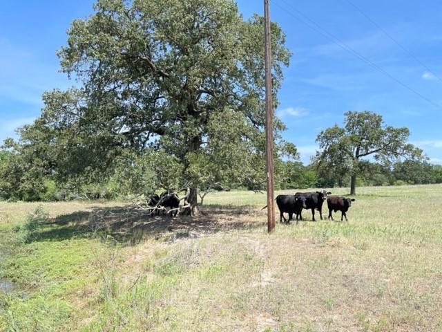 1583 S Us Highway 77 Highway, Giddings, TX 78942