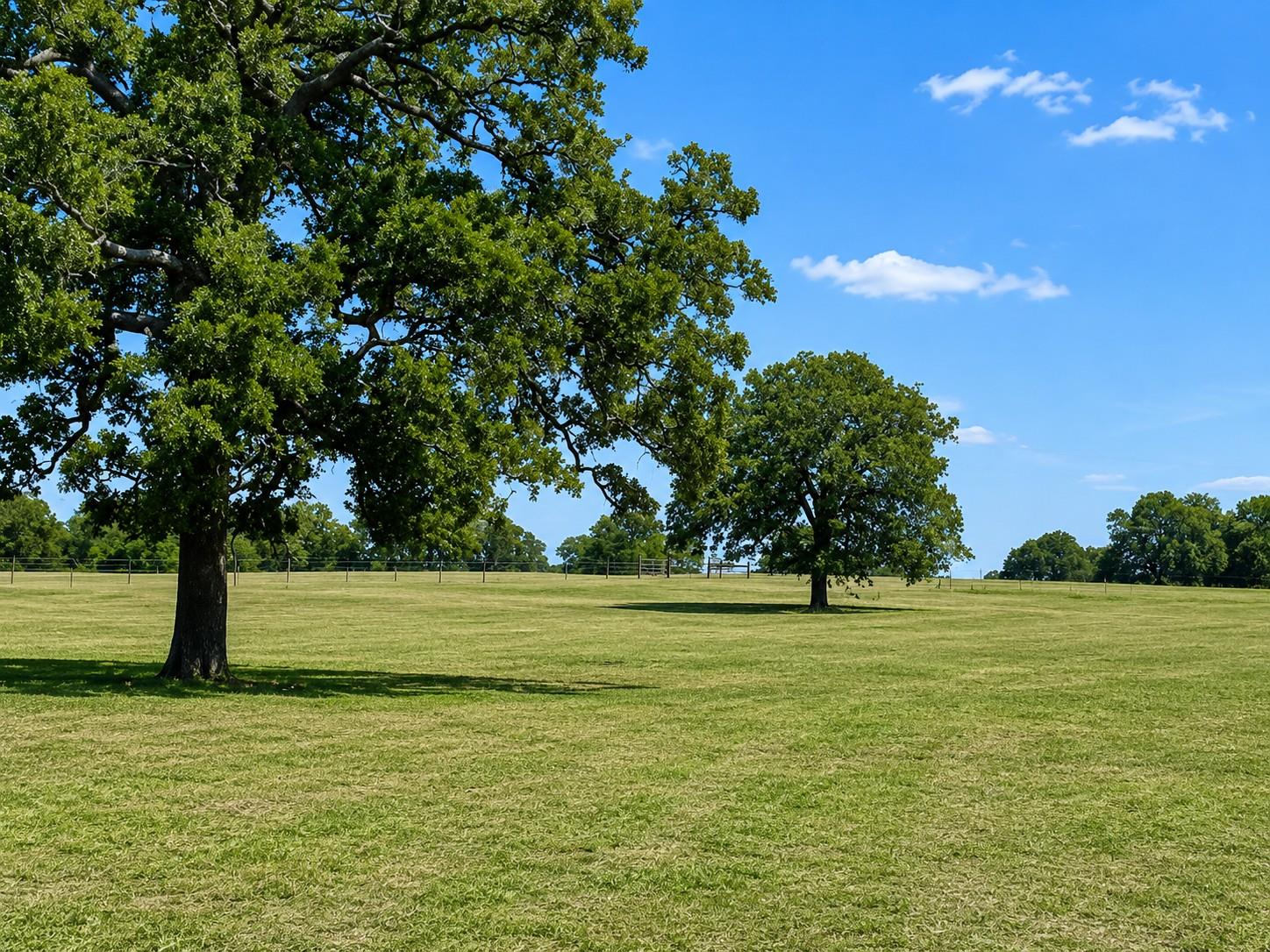1583 S Us Highway 77 Highway, Giddings, TX 78942