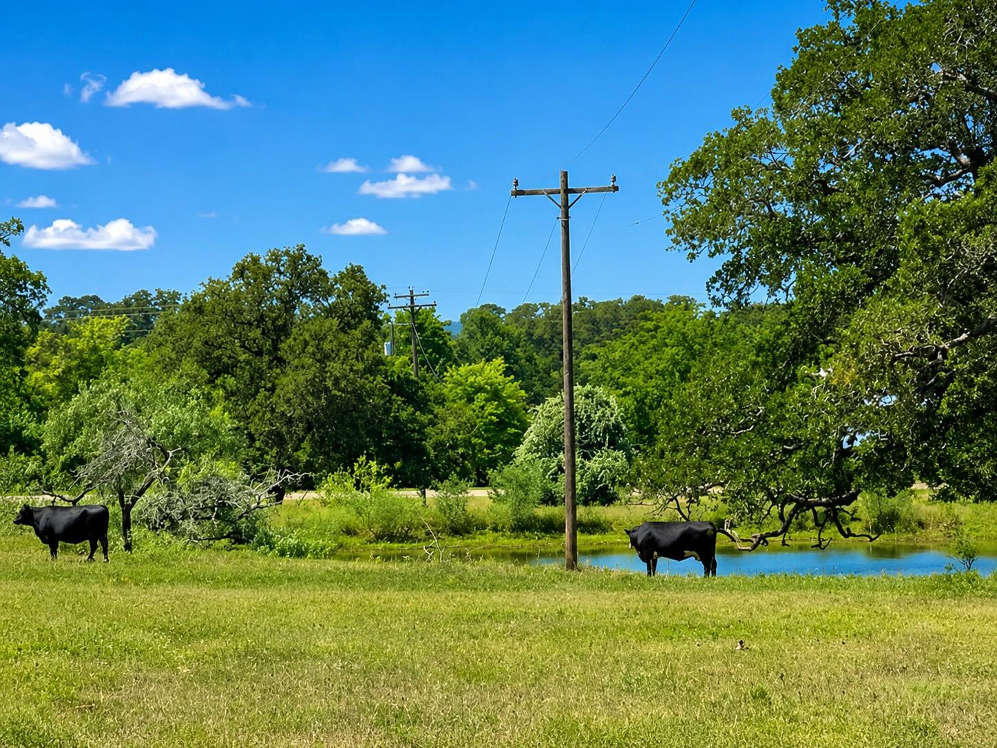 1583 S Us Highway 77 Highway, Giddings, TX 78942