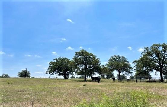 1583 S Us Highway 77 Highway, Giddings, TX 78942