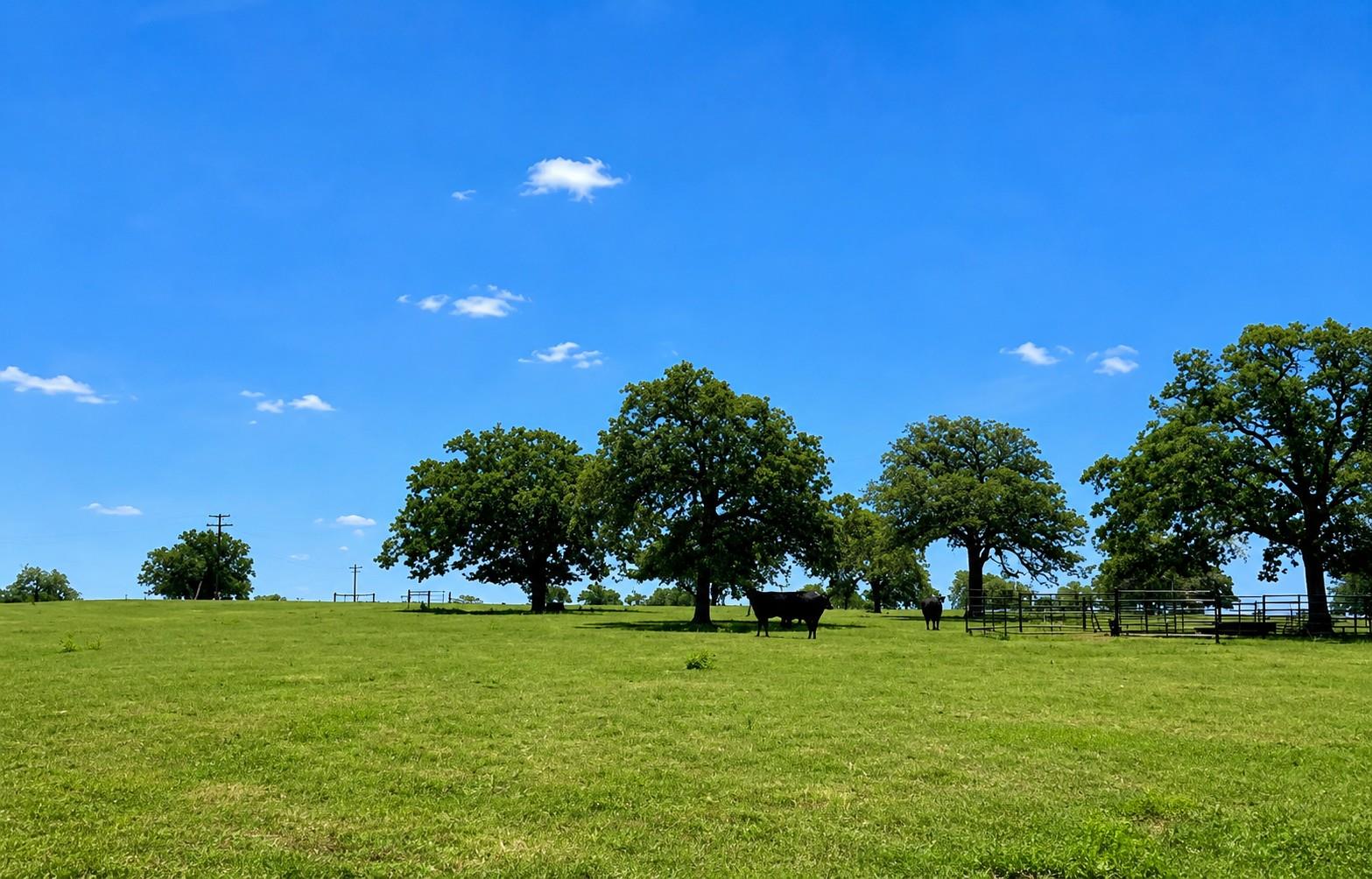 1583 S Us Highway 77 Highway, Giddings, TX 78942