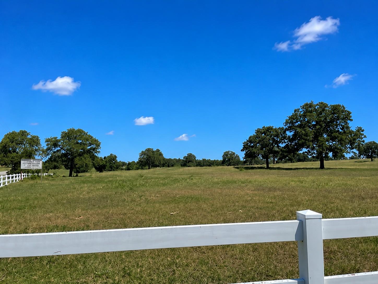 1583 S Us Highway 77 Highway, Giddings, TX 78942