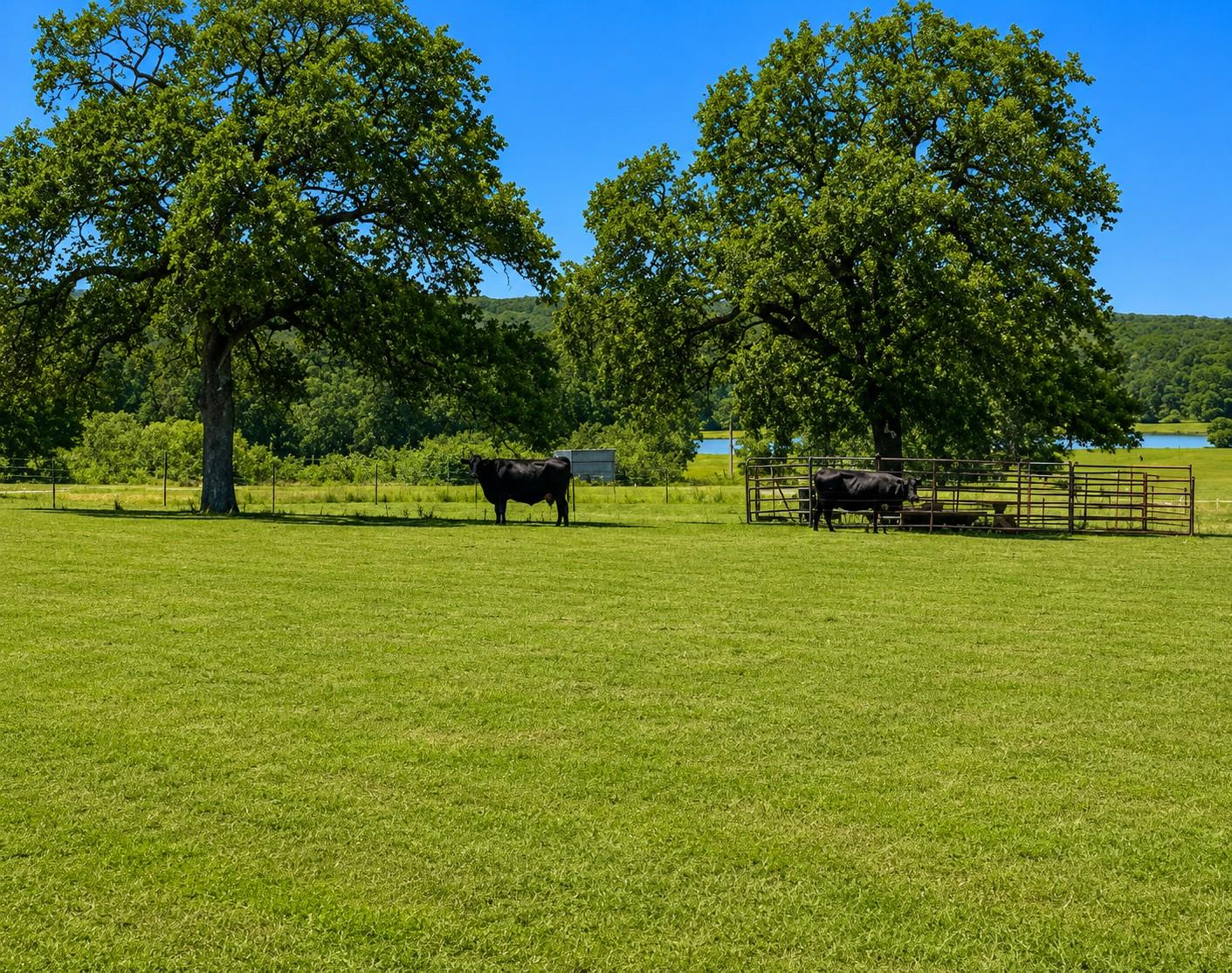 1583 S Us Highway 77 Highway, Giddings, TX 78942