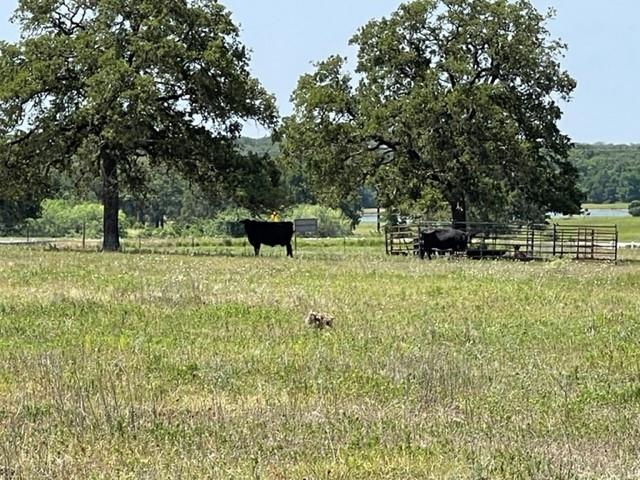 1583 S Us Highway 77 Highway, Giddings, TX 78942