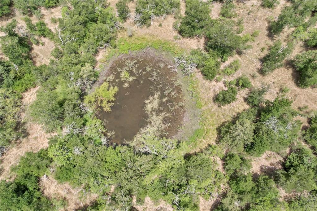 TBD Tract 5 - Hog Eye Rd, Manor, TX 78653