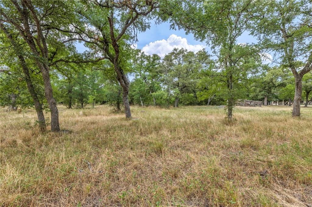 TBD Tract 5 - Hog Eye Rd, Manor, TX 78653