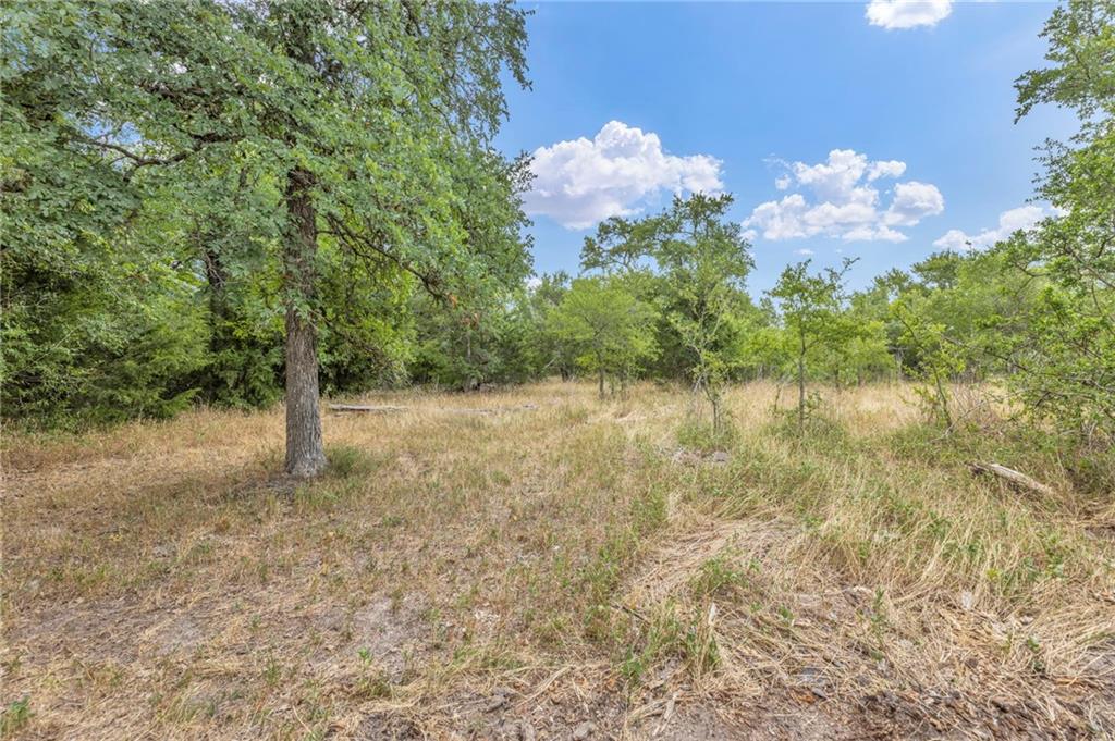 TBD Tract 5 - Hog Eye Rd, Manor, TX 78653