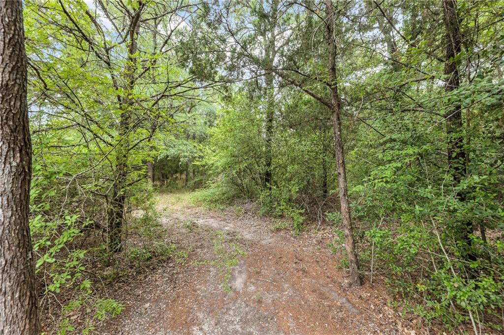 TBD Tract 5 - Hog Eye Rd, Manor, TX 78653