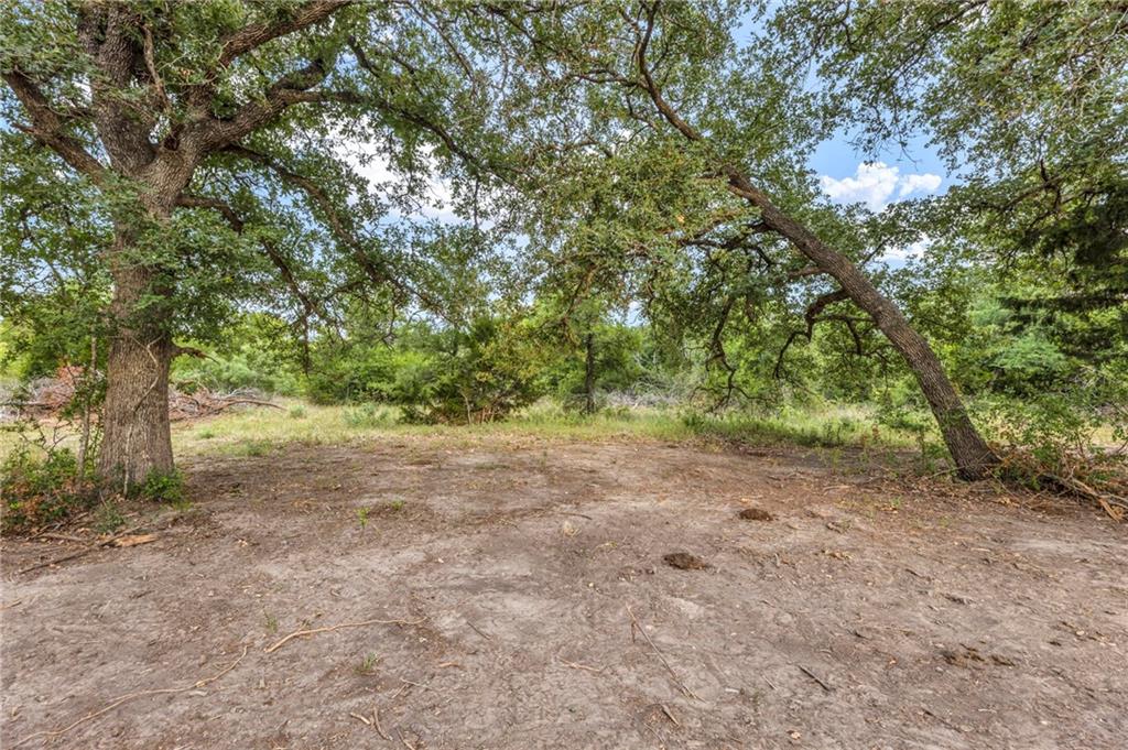 TBD Tract 5 - Hog Eye Rd, Manor, TX 78653