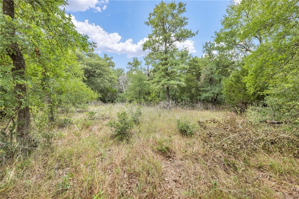 TBD Tract 5 - Hog Eye Rd, Manor, TX 78653